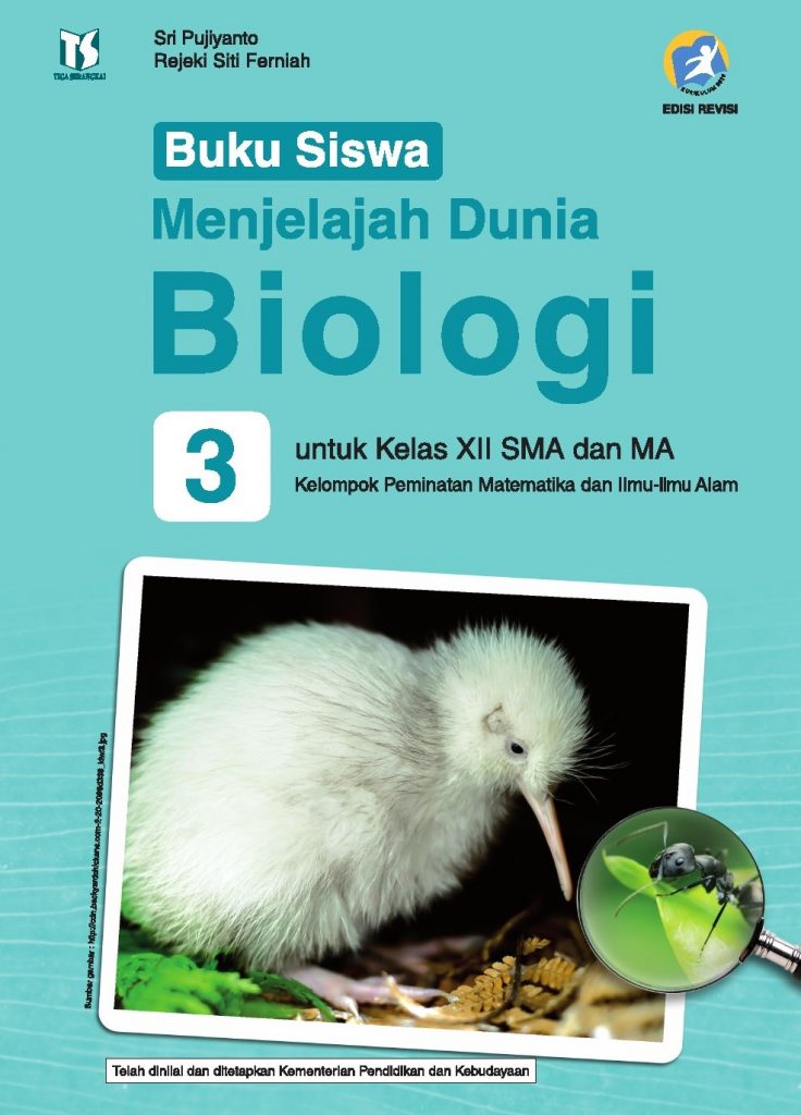 Pdf Biologi Kelas 12 Kurikulum 2013 Revisi Erlangga