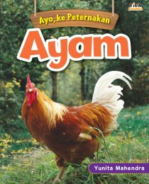 Ayo, Ke Peternakan: Ayam