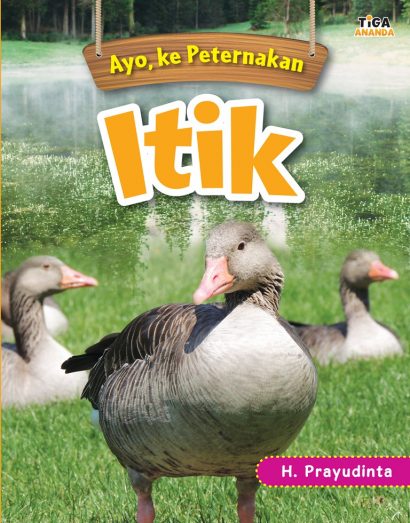 COVER-Itik FIX CONV reg