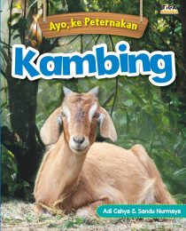 Ayo, Ke Peternakan: Kambing