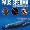 Seri Dunia Bawah Laut: Paus Sperma dan Penghuni Laut Dalam