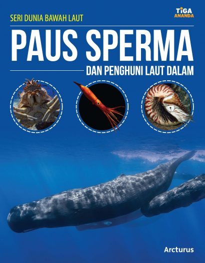 Seri Dunia Bawah Laut: Paus Sperma dan Penghuni Laut Dalam