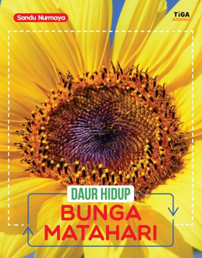 Daur Hidup: Bunga Matahari
